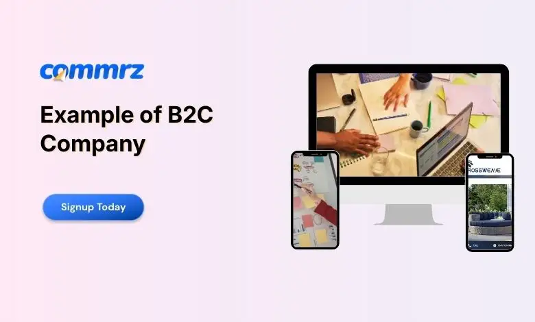 Example of B2C Company